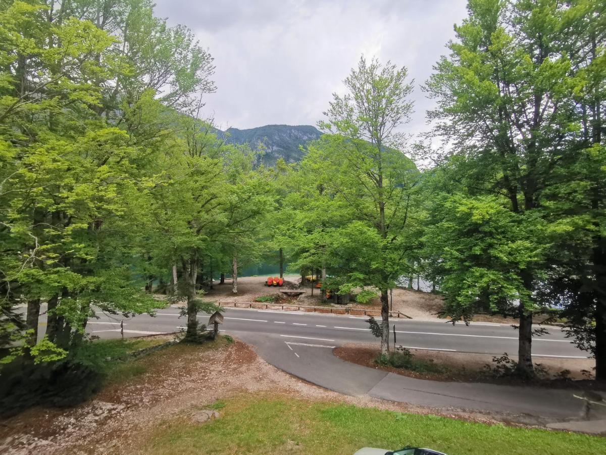 Pod Voglom * Bohinj